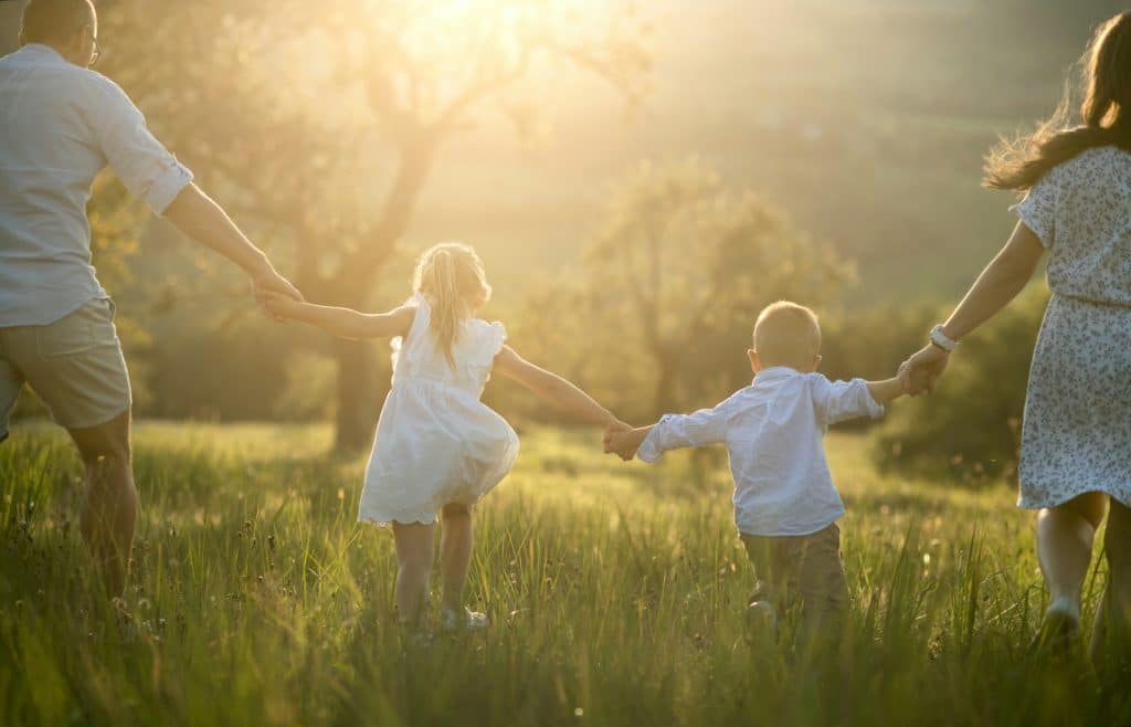 Rückansicht der Familie mit zwei kleinen Kindern, die bei Sonnenuntergang auf einer Wiese im Freien spazieren gehen.