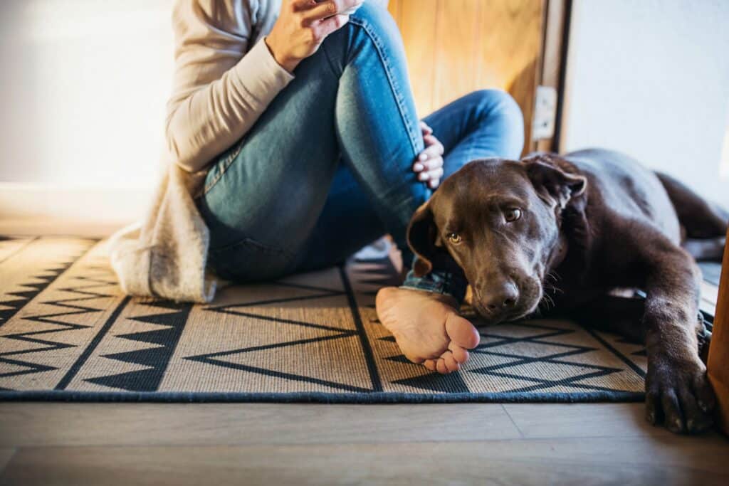Junge Frau sitzt auf einem Teppich, daneben liegt ein Hund