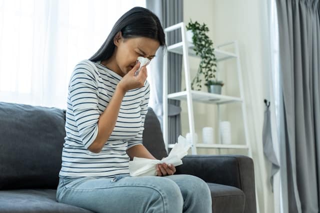 Faru mit einer Allergie in einer hellen Wohnung mit sauberem Wohnbereich.